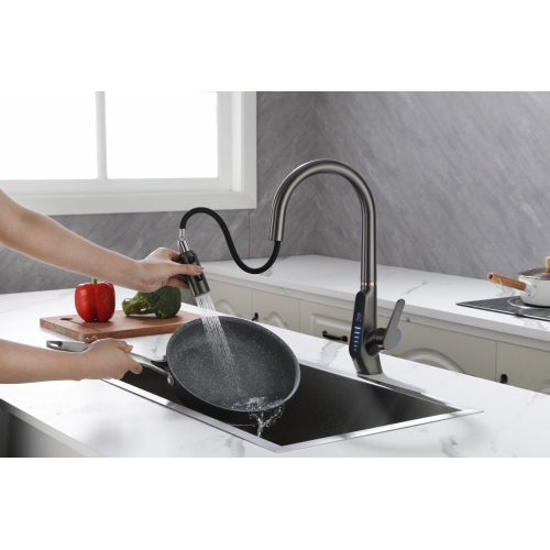 Vòi rửa nóng lạnh hiển thị nhiệt độ EUROPEAN PT-507