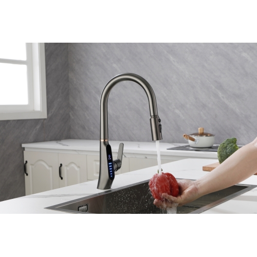 Vòi rửa nóng lạnh hiển thị nhiệt độ EUROPEAN PT-420